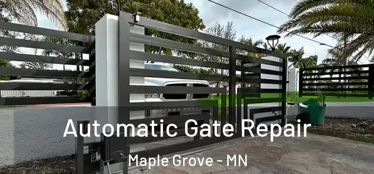Automatic Gate Repair Maple Grove - MN