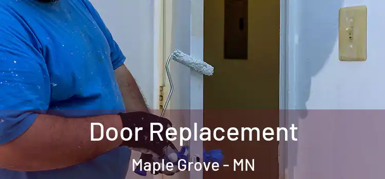 Door Replacement Maple Grove - MN