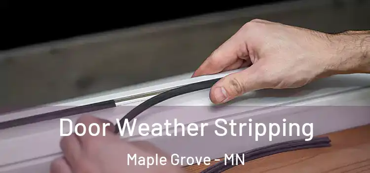 Door Weather Stripping Maple Grove - MN