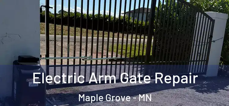Electric Arm Gate Repair Maple Grove - MN