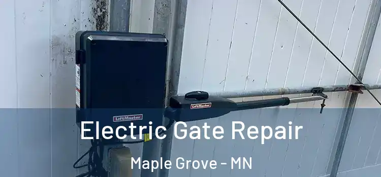 Electric Gate Repair Maple Grove - MN