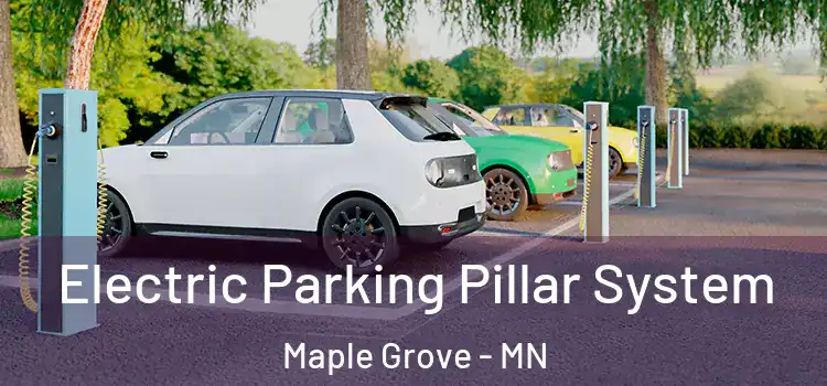 Electric Parking Pillar System Maple Grove - MN