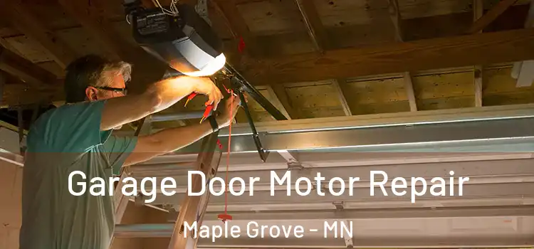  Garage Door Motor Repair Maple Grove - MN