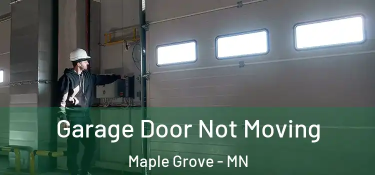  Garage Door Not Moving Maple Grove - MN