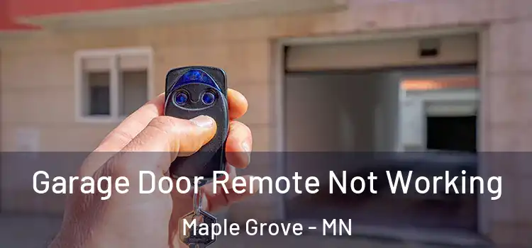  Garage Door Remote Not Working Maple Grove - MN
