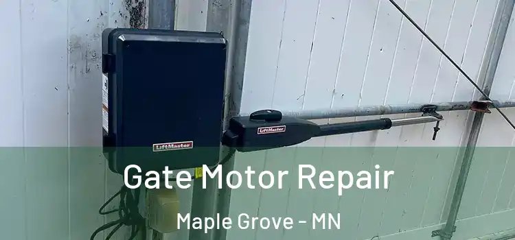 Gate Motor Repair Maple Grove - MN
