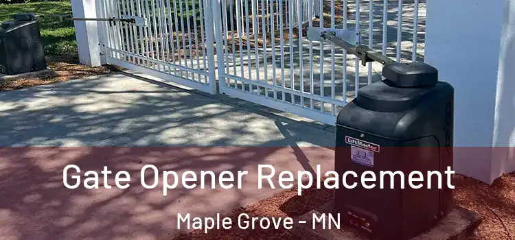 Gate Opener Replacement Maple Grove - MN