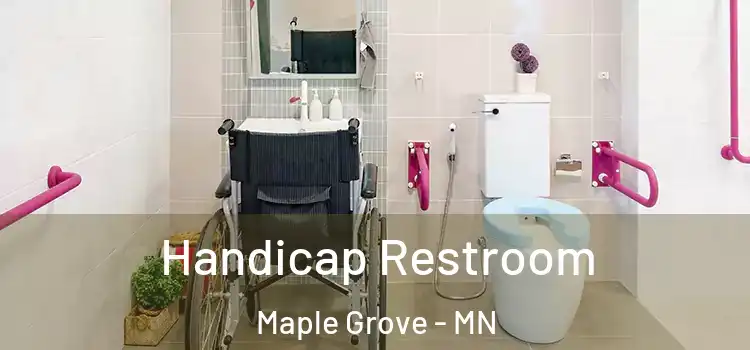 Handicap Restroom Maple Grove - MN
