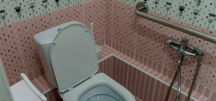 Meeting Diverse Needs With Accessible Restroom Solutions in Maple Grove, MN