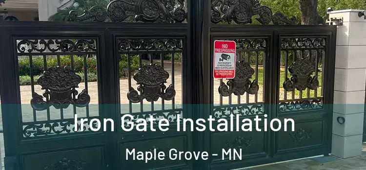 Iron Gate Installation Maple Grove - MN