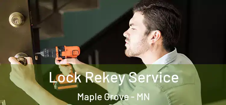 Lock Rekey Service Maple Grove - MN