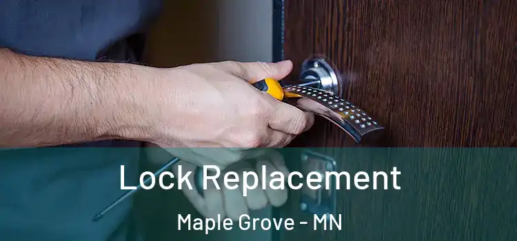 Lock Replacement Maple Grove - MN