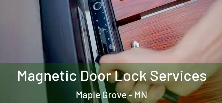 Magnetic Door Lock Services Maple Grove - MN