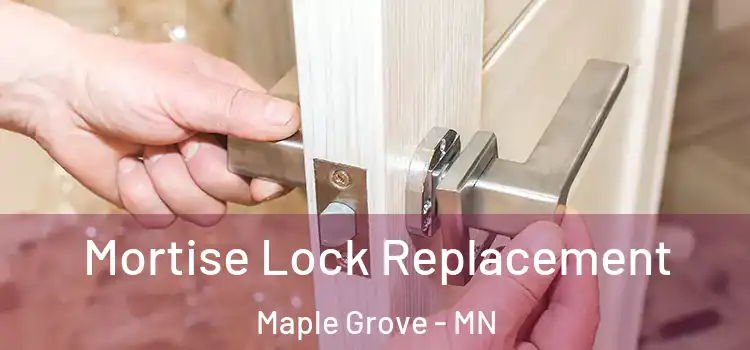 Mortise Lock Replacement Maple Grove - MN