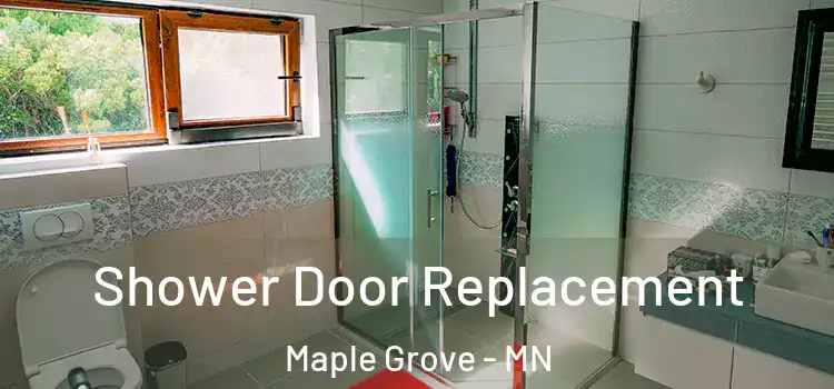 Shower Door Replacement Maple Grove - MN