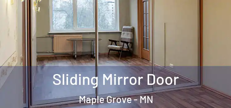  Sliding Mirror Door Maple Grove - MN