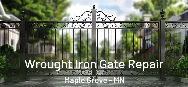 Wrought Iron Gate Repair Maple Grove - MN